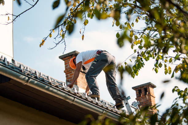 Best Storm Damage Roof Repair  in Dadeville, AL